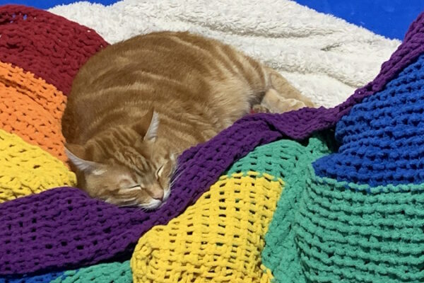 Knitting