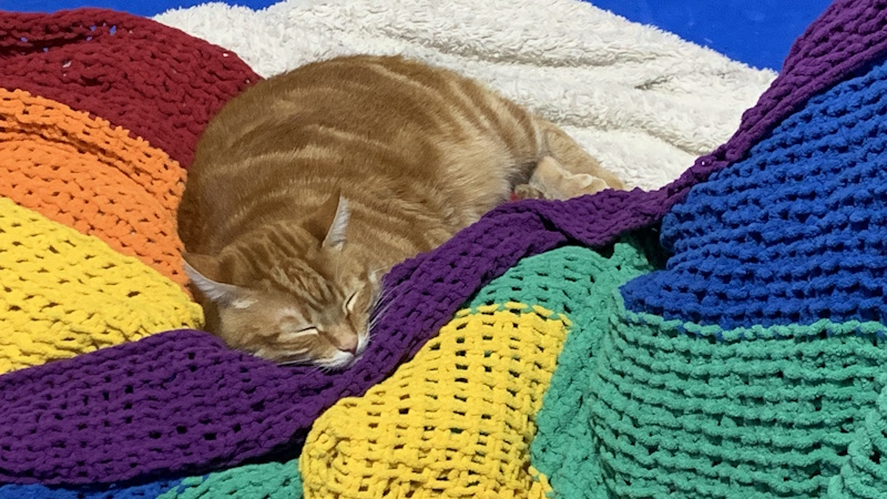 Knitting